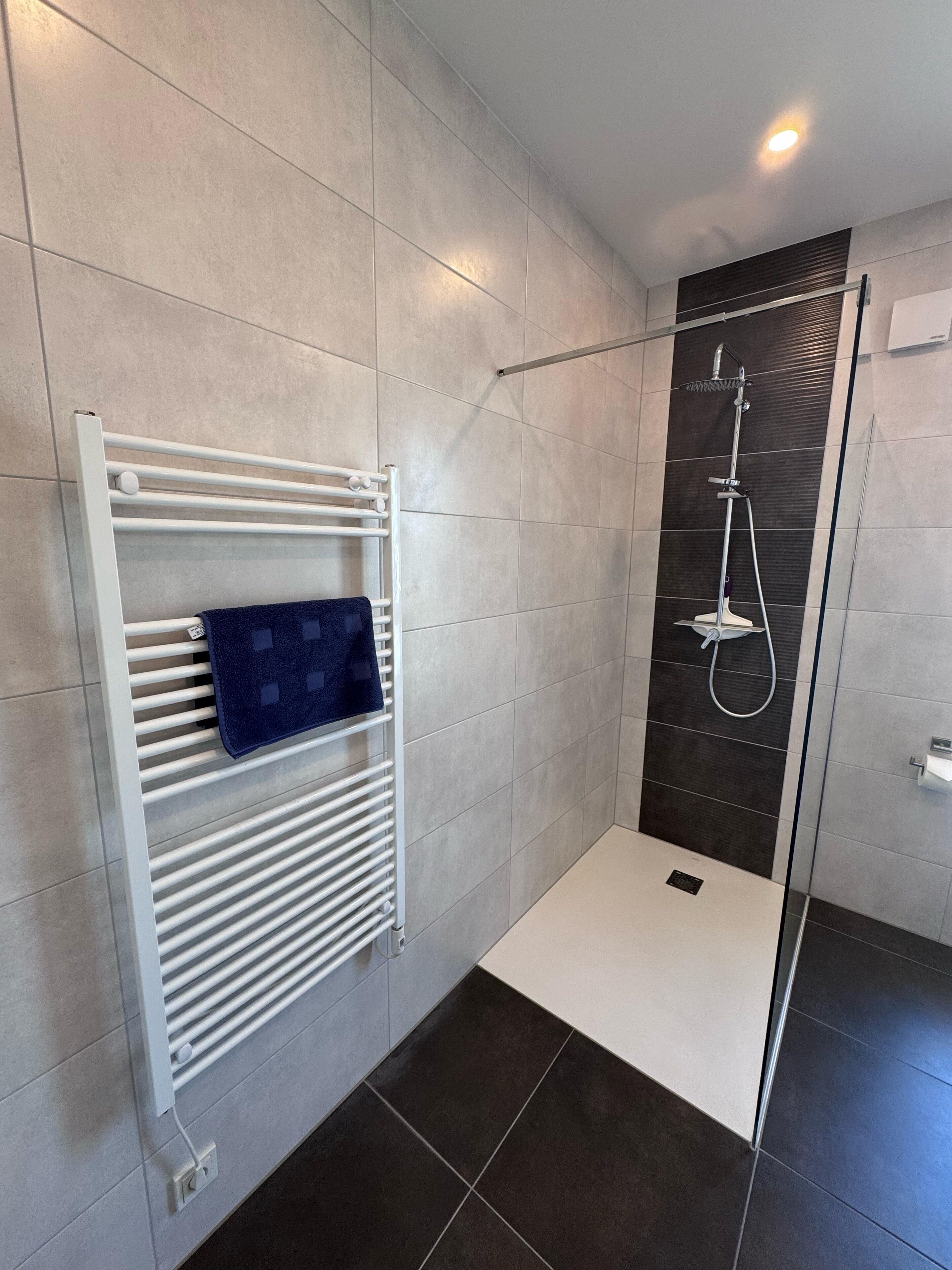 A modern bathroom with a glass-enclosed shower, a white towel rack with a blue towel, and a white radiator.