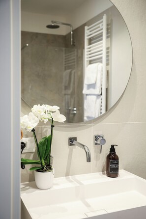 Shower, hair dryer, bidet, towels