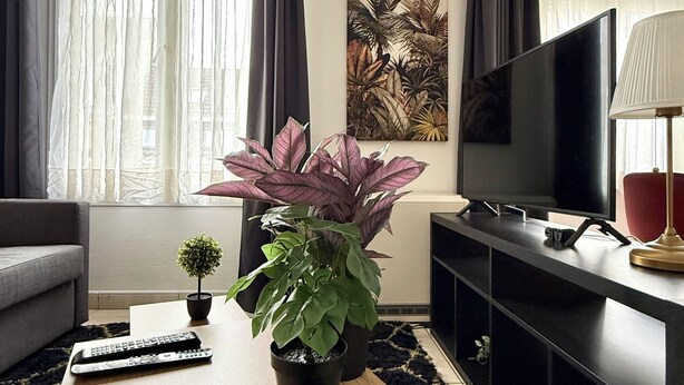 Een moderne woonkamer met een bank, een salontafel, een televisie en een potplant.