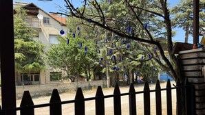 A residential street with a fence, trees, and houses. - maldivler pansiyon (Yesilova)