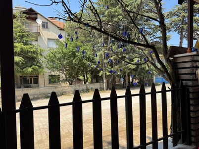 maldivler pansiyon
