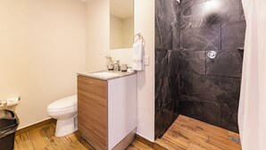 A modern bathroom with a toilet, sink, mirror, and shower area.