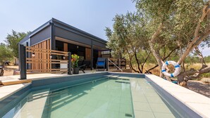 A modern house with a swimming pool, outdoor furniture, and a wooden fence.