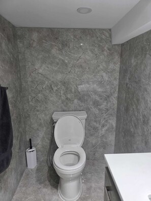 Hair dryer, towels, toilet paper