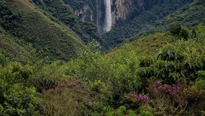 Uma cascata desce uma falésia íngreme, rodeada por vegetação exuberante.