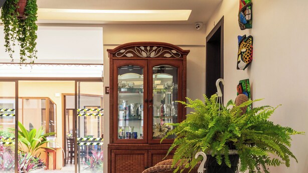 A spacious living area with a wooden cabinet, wicker furniture, and potted plants. - Brisas del Aeropuerto (La Asunción)