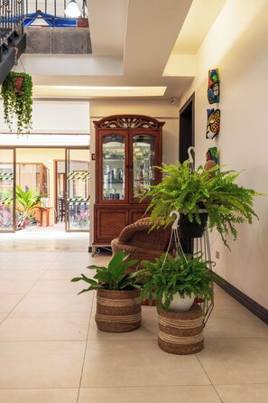 A spacious living area with a wooden cabinet, wicker furniture, and potted plants. - Brisas del Aeropuerto (La Asunción)