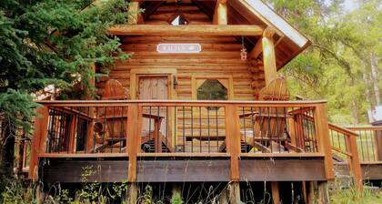 Walden Cabin Yellowstone