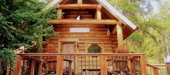 Walden Cabin Yellowstone