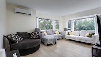 Smart TV, DVD player, books, video library