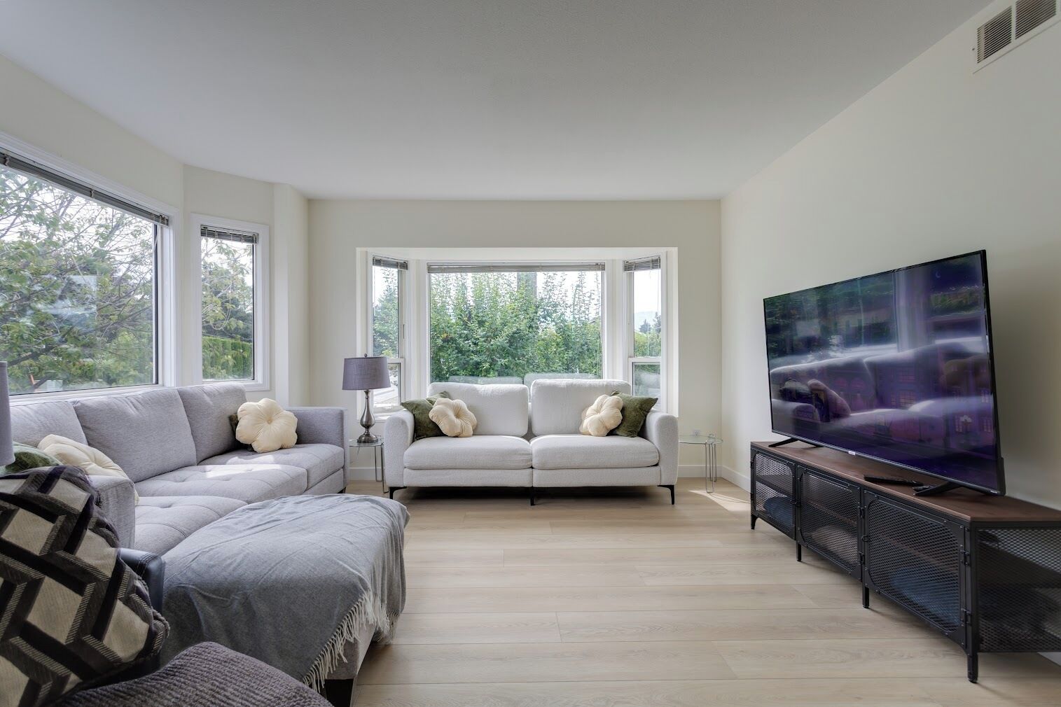 Smart TV, DVD player, books, video library