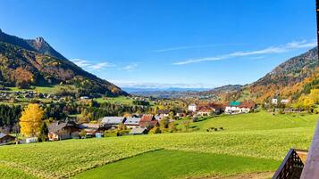 Un paysage rural avec des maisons, des champs et des montagnes.
