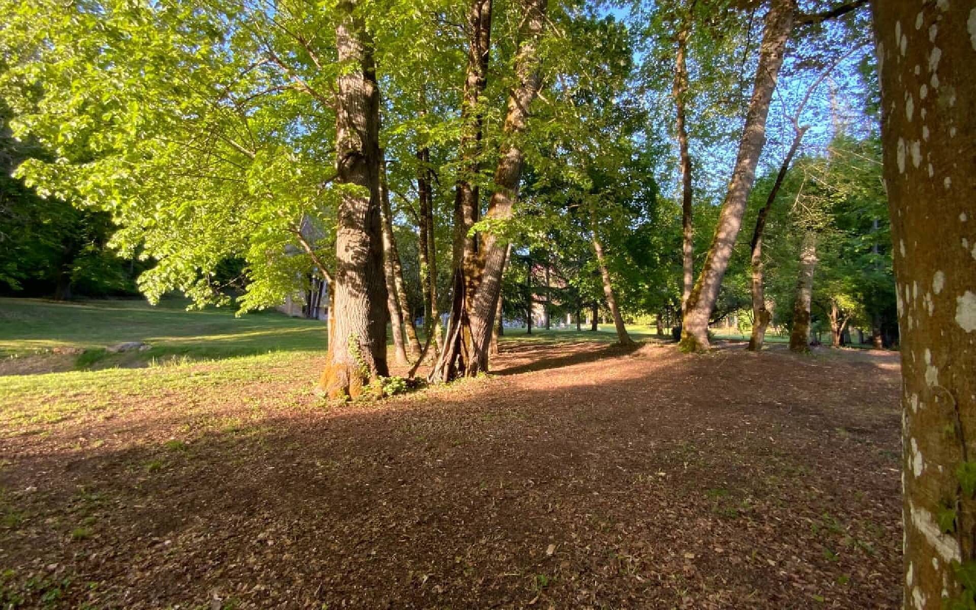 A park with a dirt path surrounded by trees.