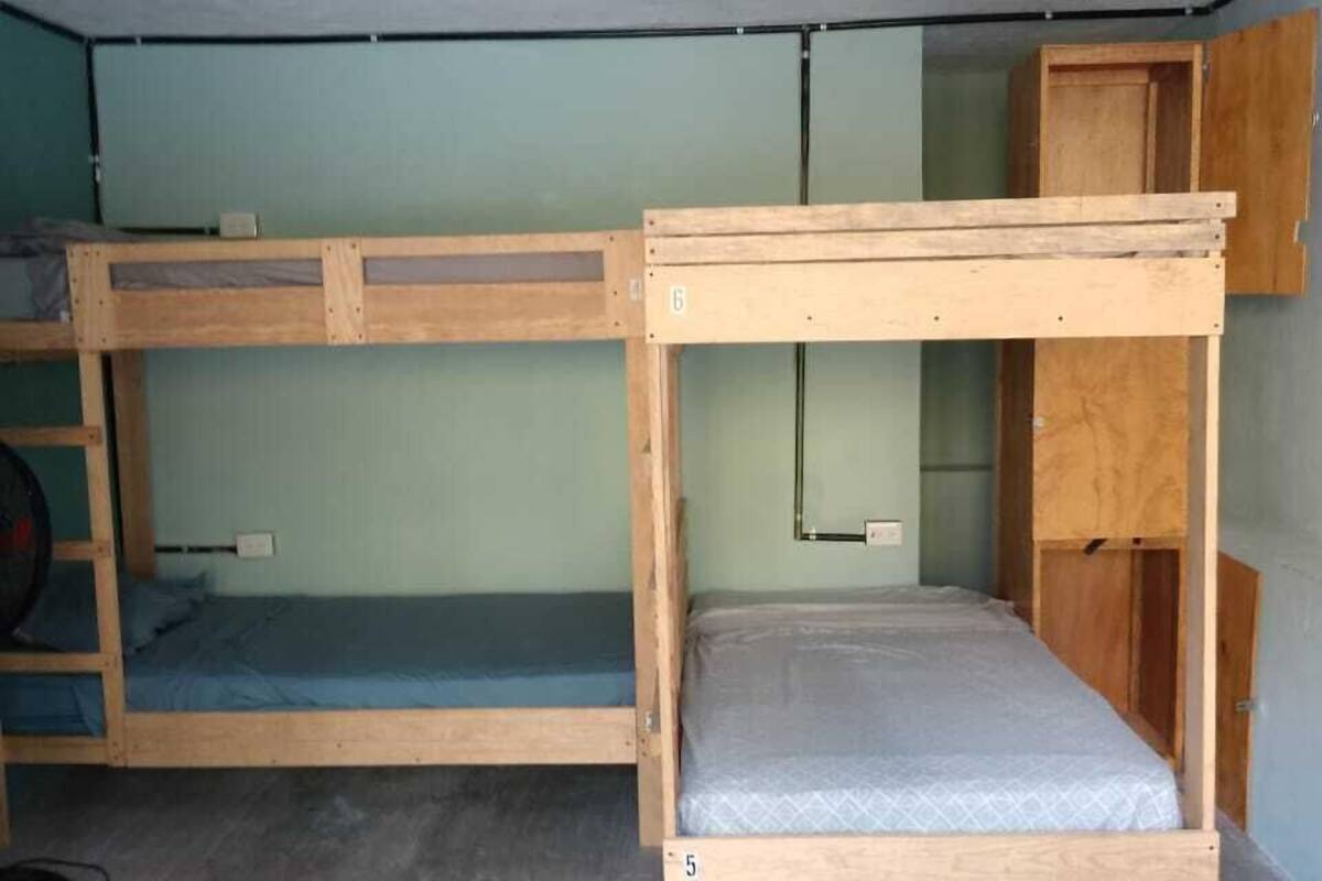 Classic Shared Dormitory