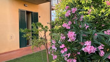 DĂ©tail de lâextĂ©rieur