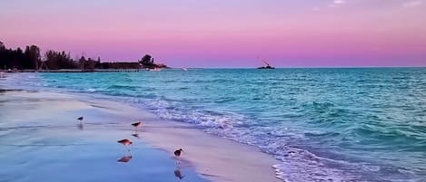 Sun loungers, beach towels