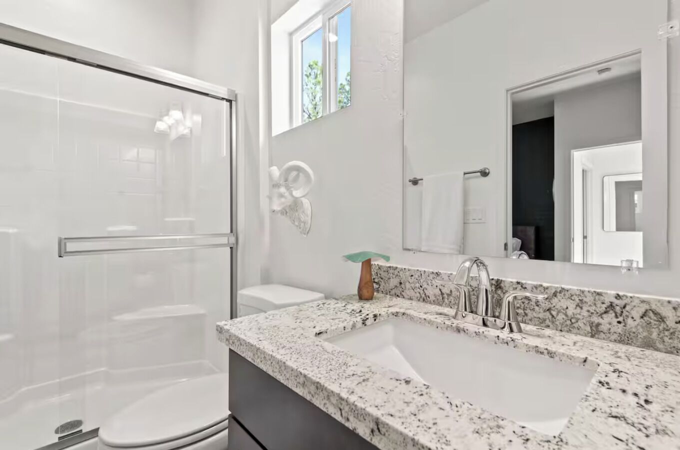 Hair dryer, towels, soap, toilet paper