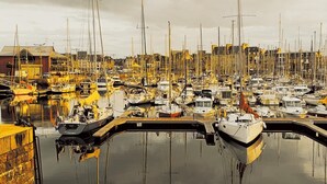 Un puerto deportivo con numerosas embarcaciones amarradas cerca unas de otras.