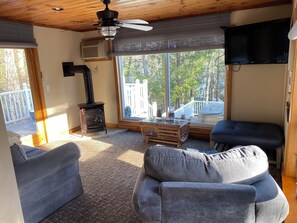 Smart TV, fireplace, books, computer monitors