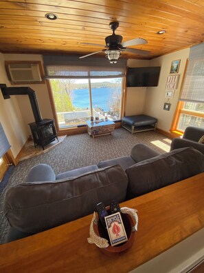 Smart TV, fireplace, books, computer monitors