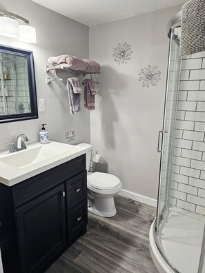 Hair dryer, towels - NEW! Remodeled Cozy Rustic-Luxury w/ Kitchen (Glenwood Springs)