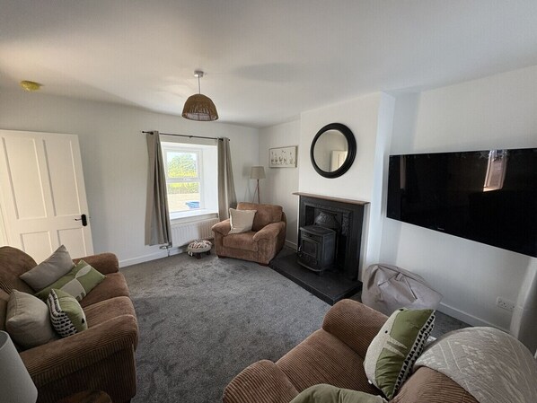 Smart TV, fireplace, books, stereo