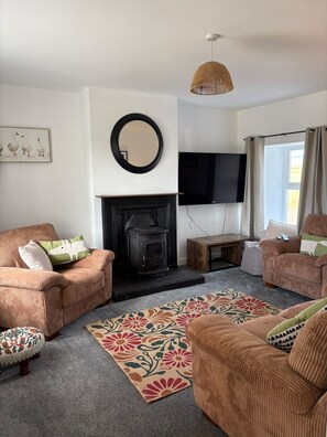 Smart TV, fireplace, books, stereo