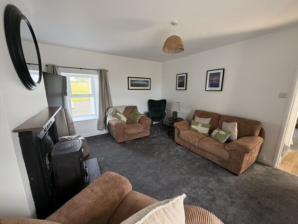 Smart TV, fireplace, books, stereo