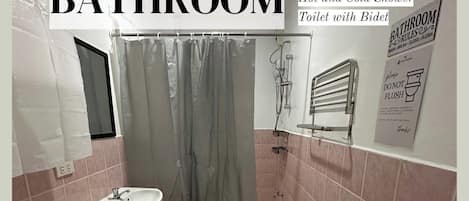 Shower, bidet, soap, toilet paper