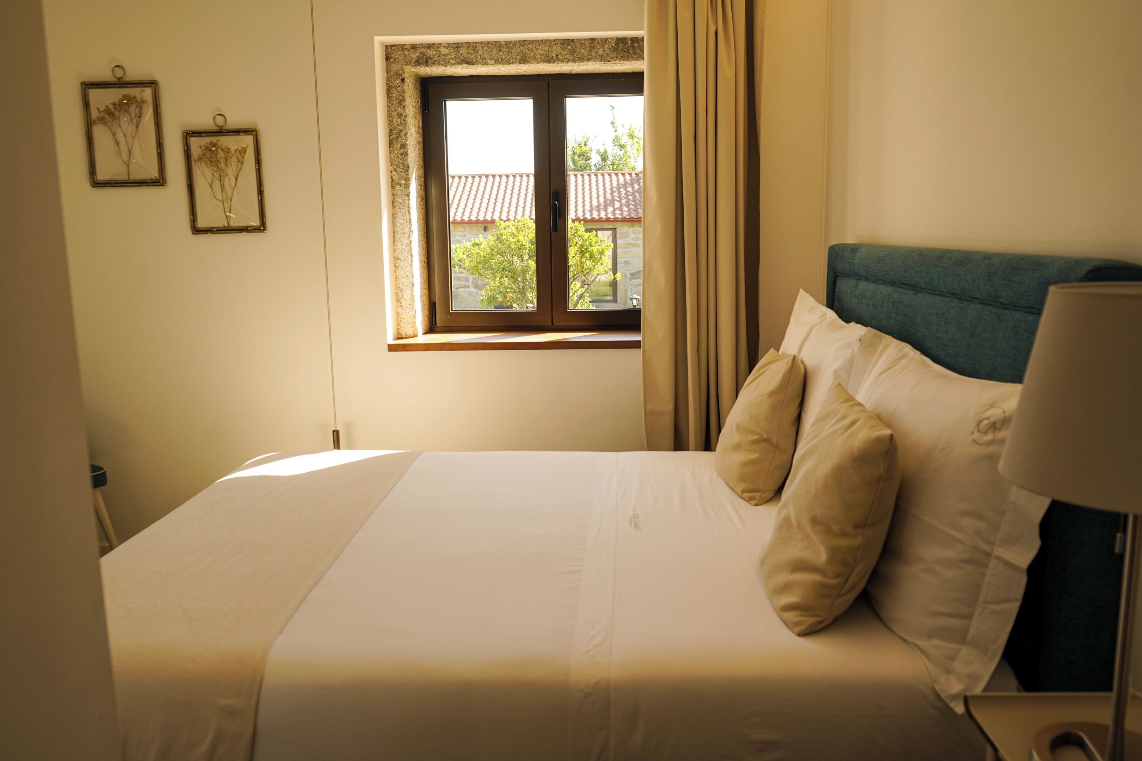 Basic Double Room | Free WiFi