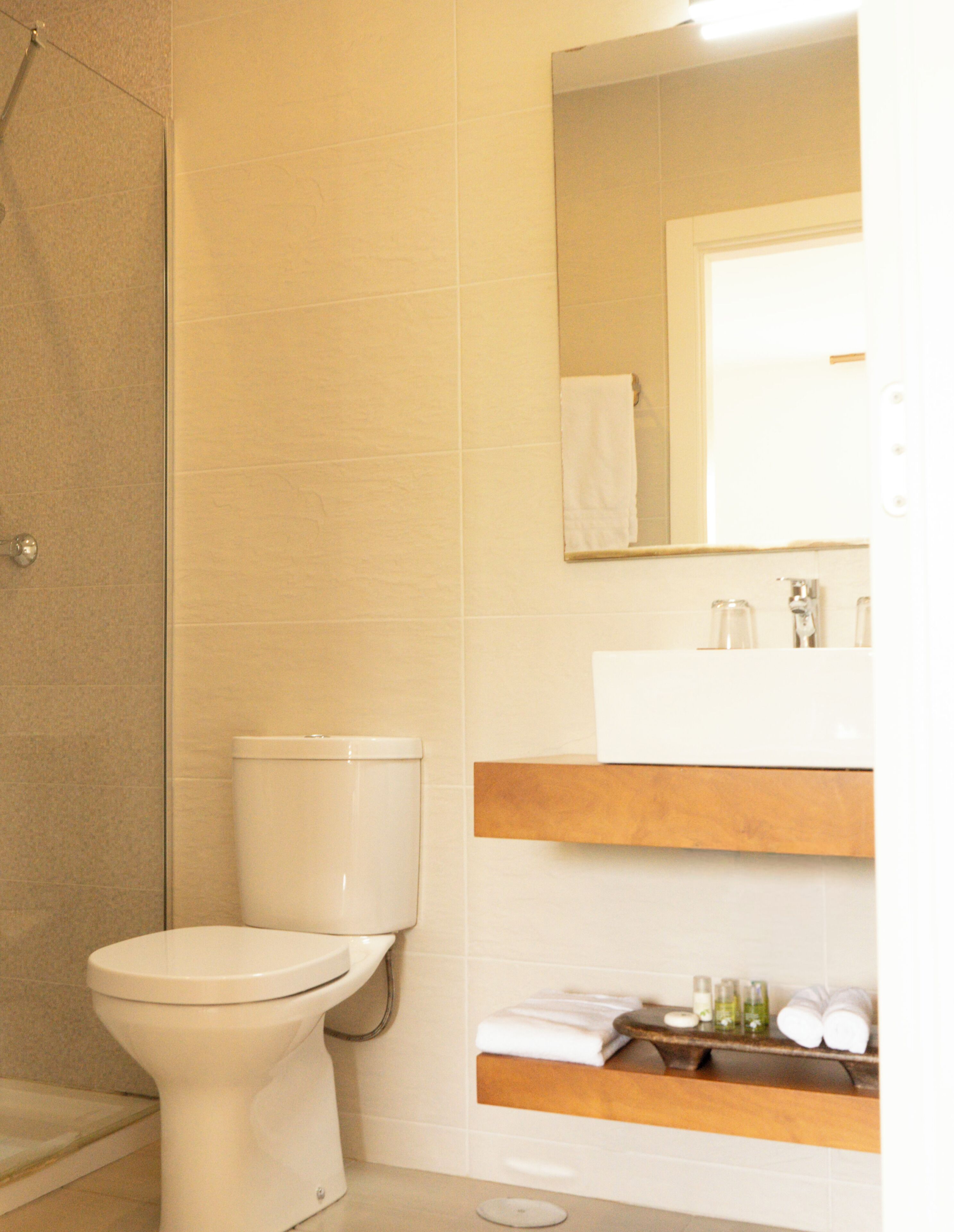 Un baño con inodoro, ducha y lavabo con espejo.