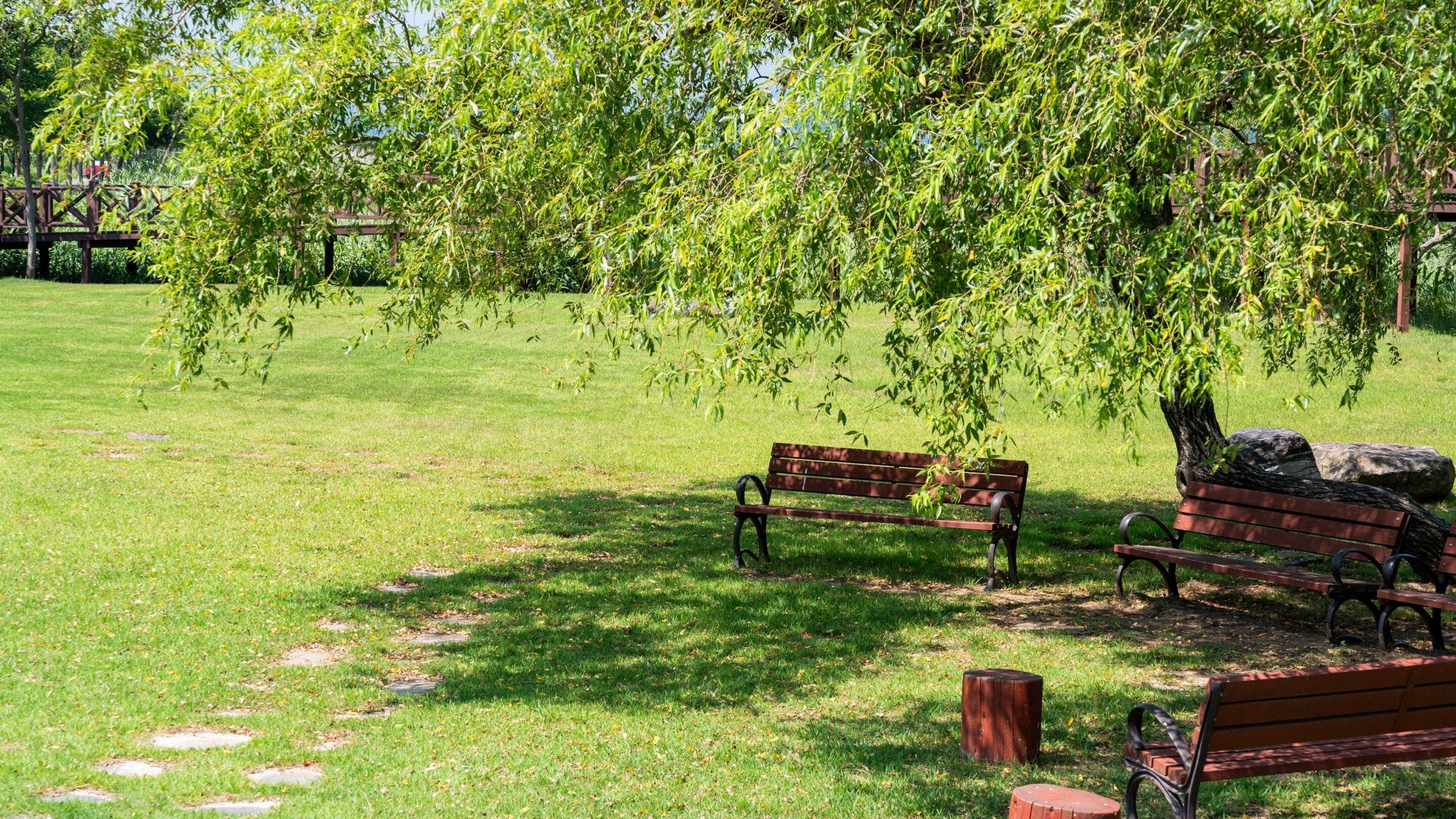 Basic-Zimmer, 2 Schlafzimmer (Loft Bed Room 304) | Außenbereich