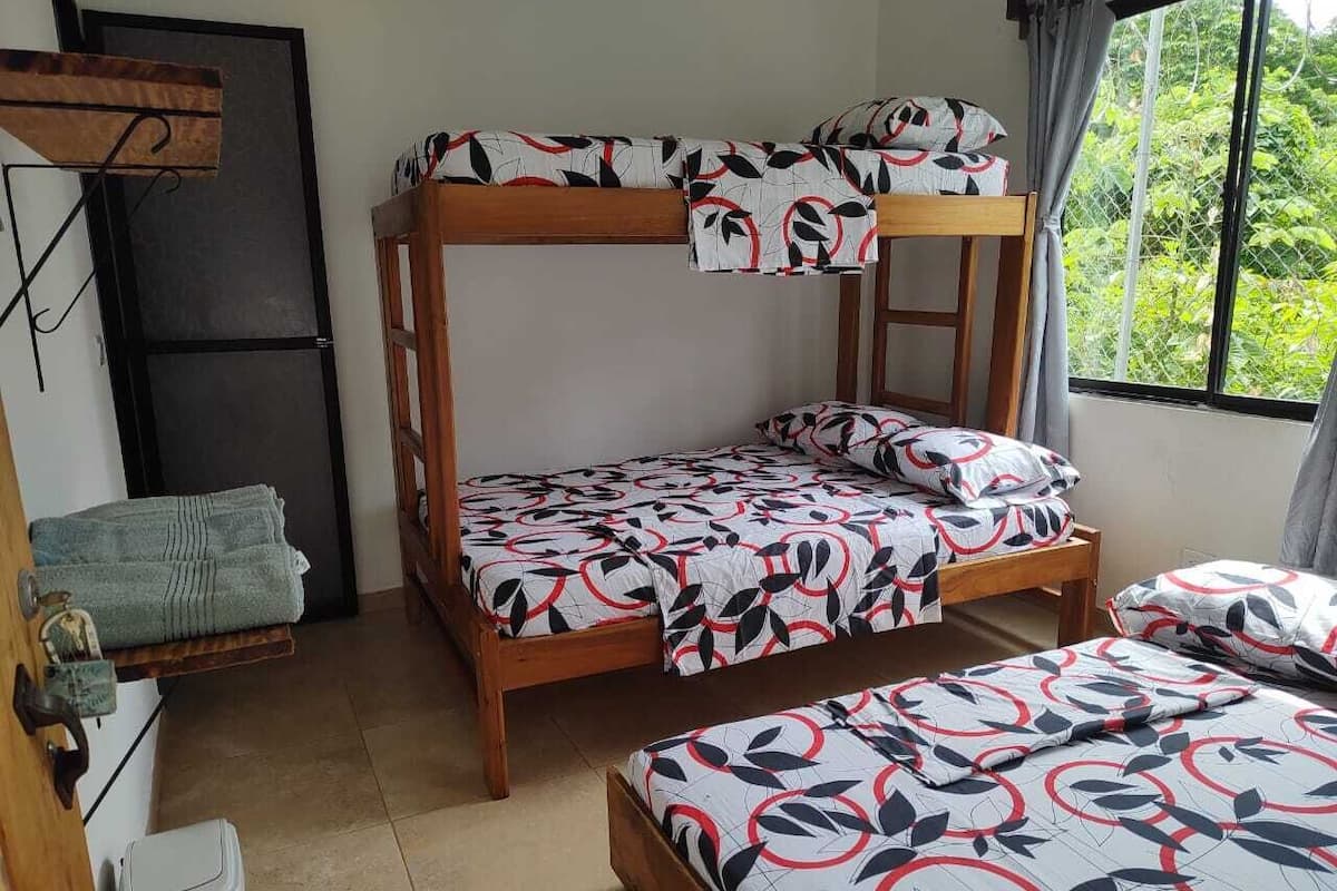 Basic Room | View from room