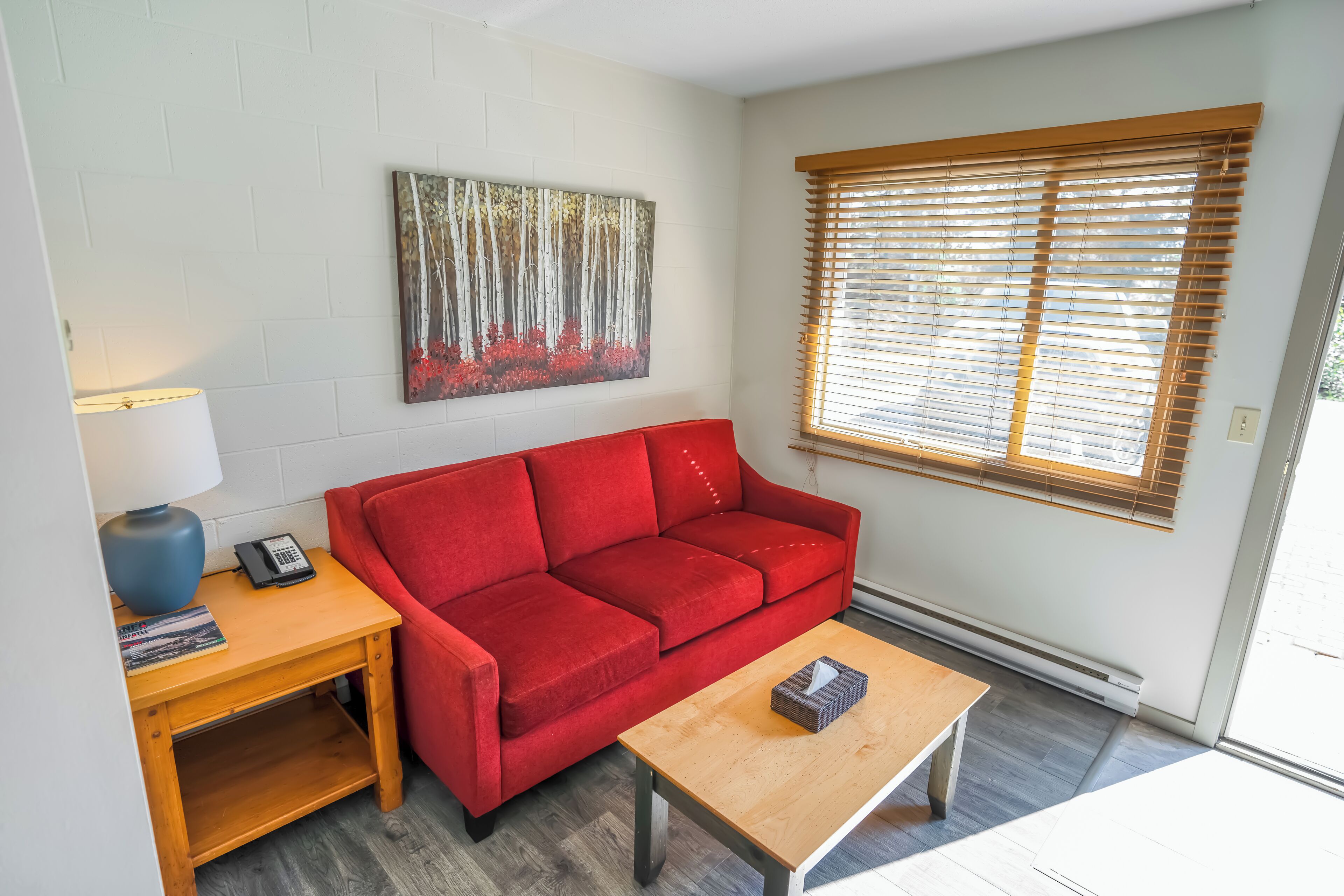 48-inch LED TV with satellite channels