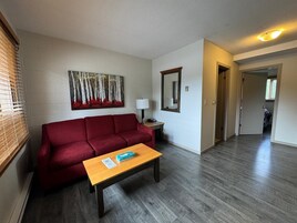 Classic Double Room, 1 Double Bed, Kitchenette | Living area | 48-inch LED TV with satellite channels