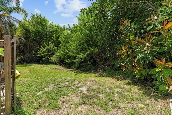 A grassy yard with dense foliage and a wooden fence. - 4BR Beach House Spacious Steps From Sand (New Smyrna Beach)