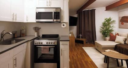 Modern 1 Bedroom Unit in Dumbo NYC