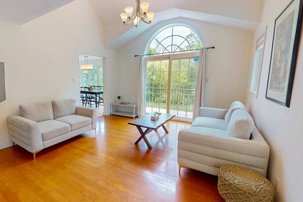 テレビ、卓球台