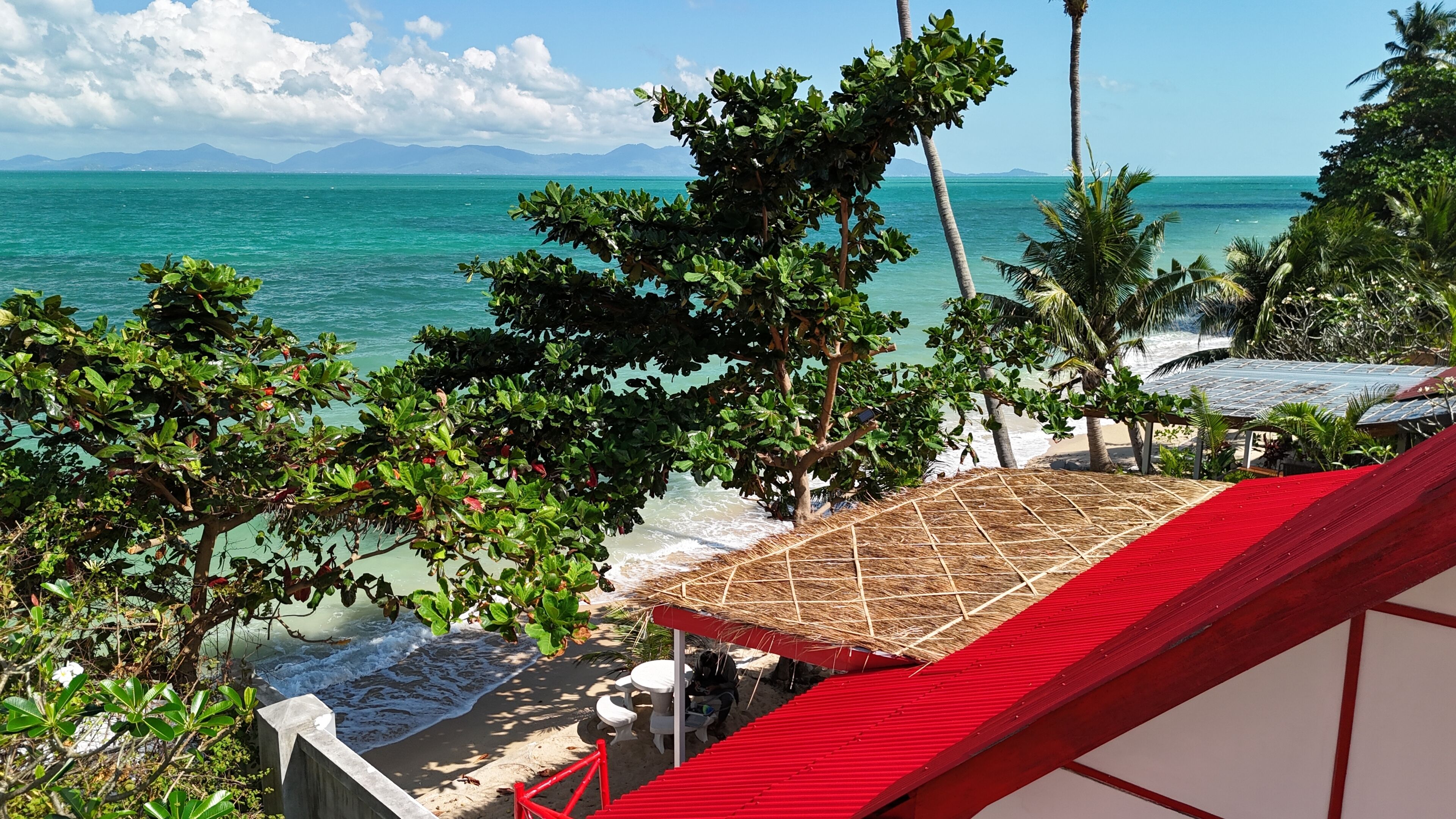 A beach view with a red-roofed structure, palm trees, and a clear sky.