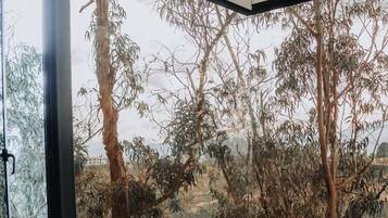 Deluxe-sviitti, vuoristonäköala | Ilmainen Wi-Fi