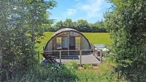 A rustic wooden structure with a thatched roof, a wooden deck, and a fenced garden area with various plants and flowers. - Exmoor View Log Cabin, nr North Molton (South Molton)