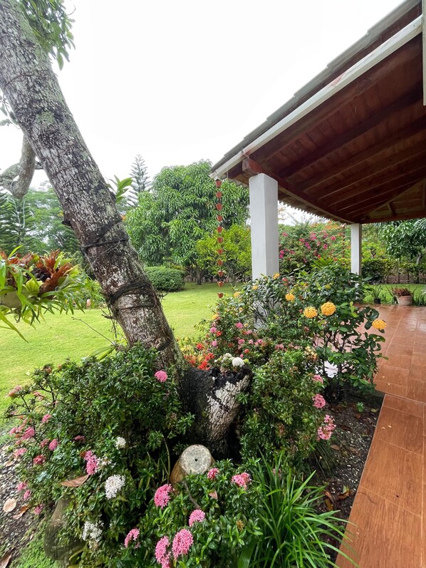 Enceinte de l’hébergement