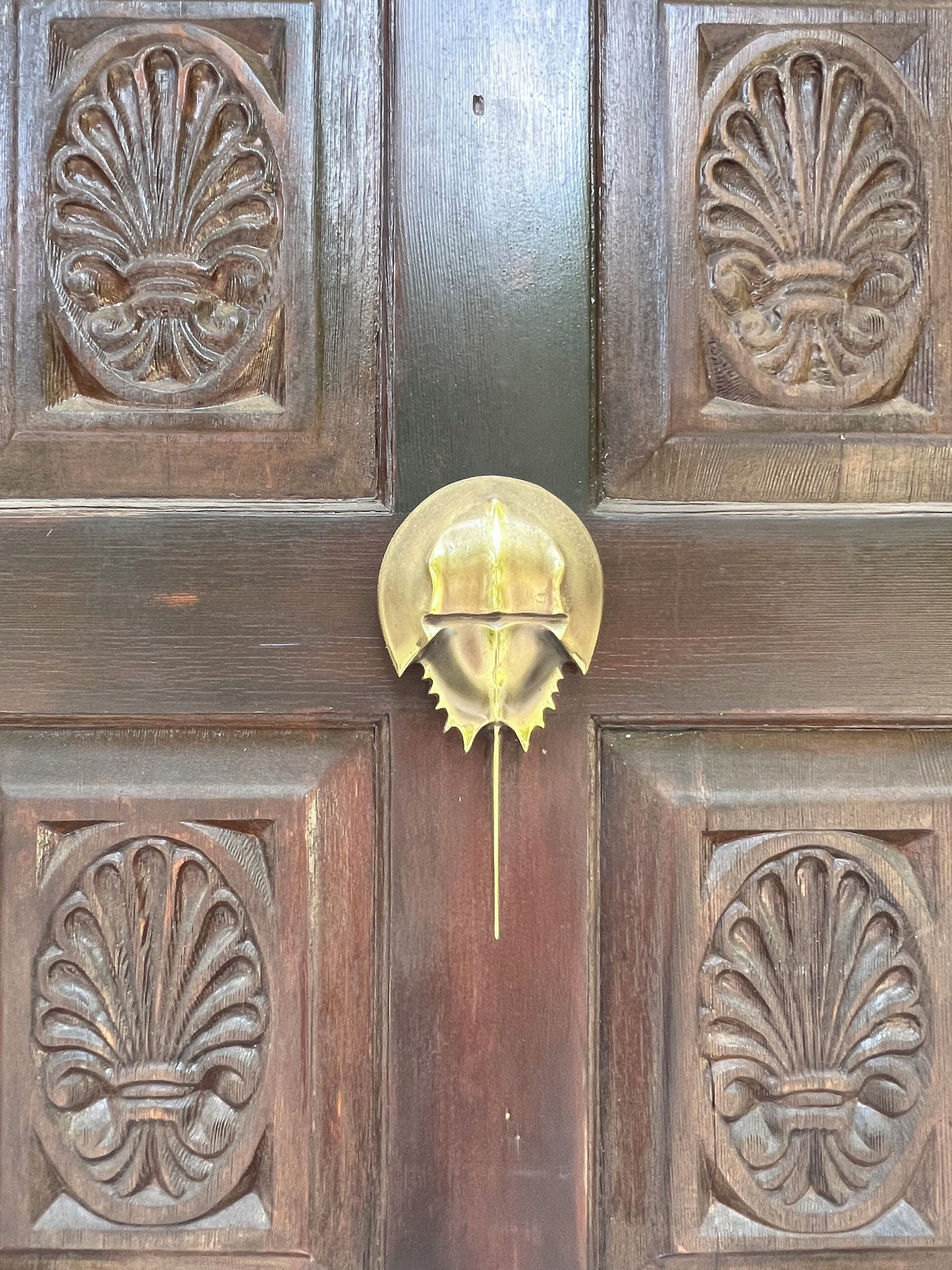 Una puerta de madera con un llamador de latón y paneles decorativos.