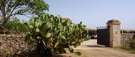 Détail de l’extérieur