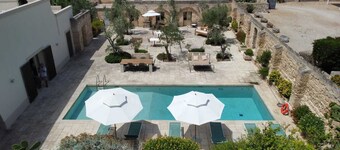 Citrus Grove - Masseria Bernardini