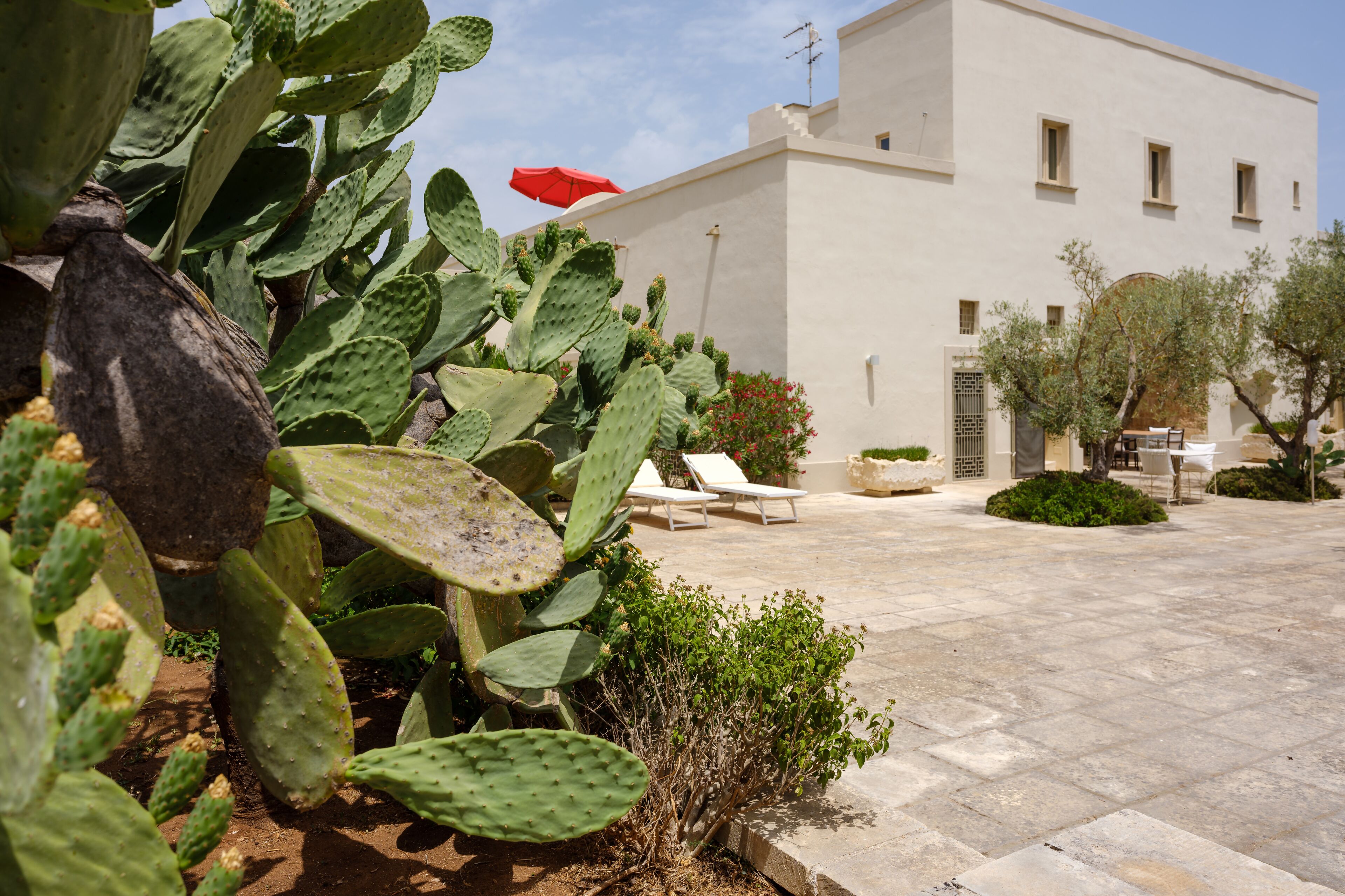 テラス / パティオ