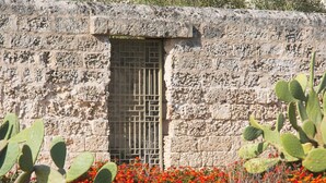 A stone wall with a barred window and cacti and red flowers in the foreground.