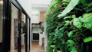 Fridge, cookware/dishes/utensils
