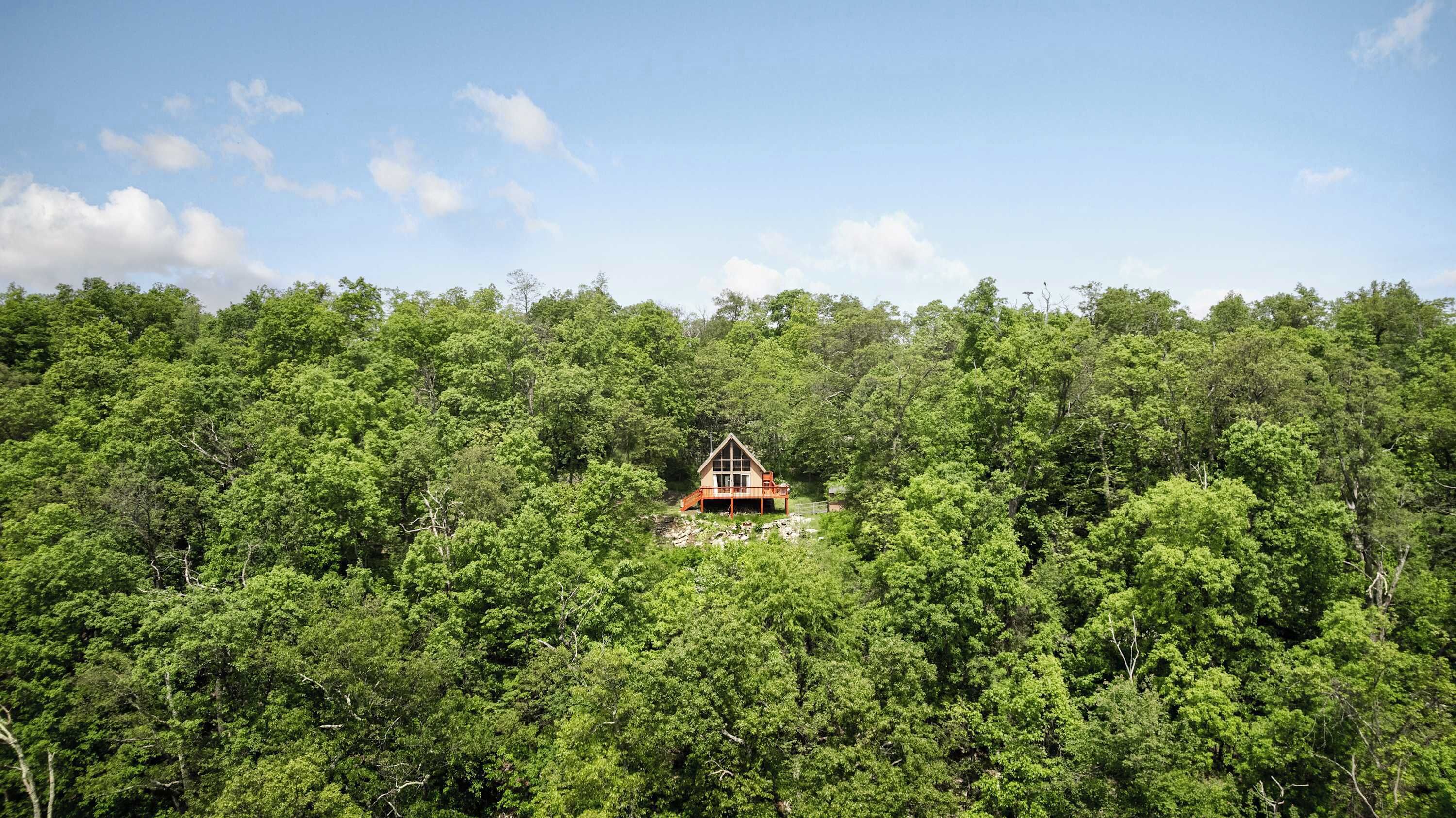 A cabin surrounded by dense forest.