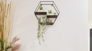 En moderne stue med en grå sofa, en sekskantet plantekasse på væggen, og en stor potteplante med pampasgræs.